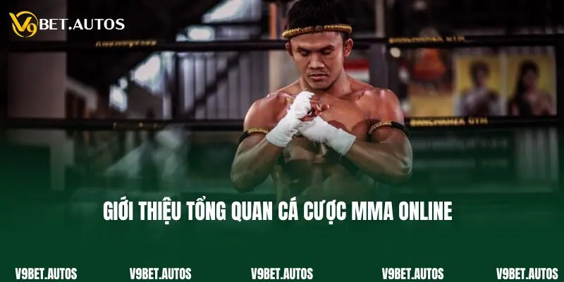 Giới thiệu tổng quan cá cược MMA online