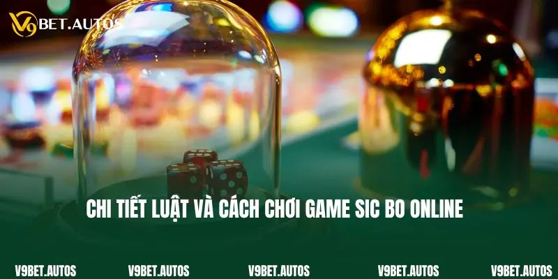 Chi tiết luật và cách chơi game sic bo online